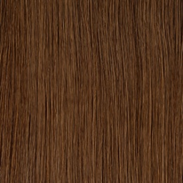 4_hazelnut_915807763
